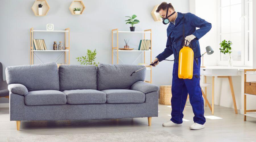 Professional pest control services in Wanneroo